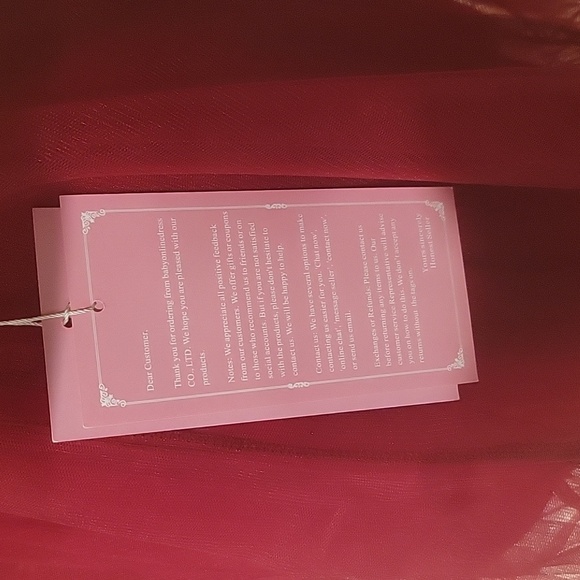 NWT BabyOnline Formal Dress size 4 - Picture 3 of 6